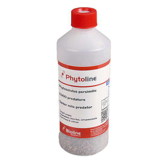 Phytoline - 2,000 per 500ml bottle - Biological Control